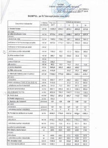 Bugetul-pentru-anul-2017_1